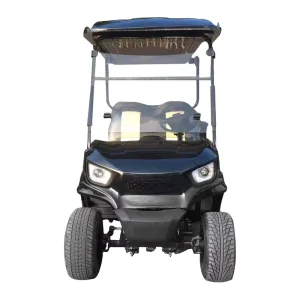 Golf Cart Electric