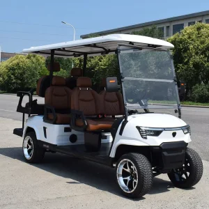 Golf Cart Electric 6 Seater Lithium Battery Utility Electric Golf Car Chinese 6 Passenger Golf Carts