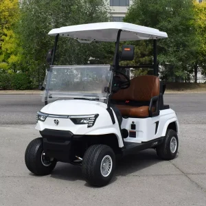 Golf Cart Electric Utility Vehicle Golf Cart Seater Golf Cart Electric Scooters