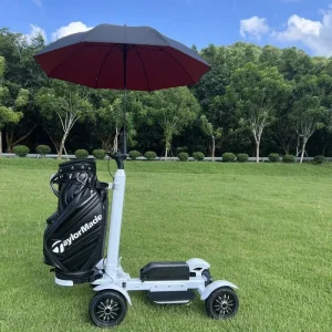 Golf Cart Folding 4 Wheel Trolley Caddy Electric Golf Scooters With Seat All Terrain Electric Golf Skateboard