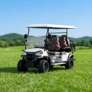 Golf Cart Four Seats Electric Customized Golf Carts With Lithium Batteries