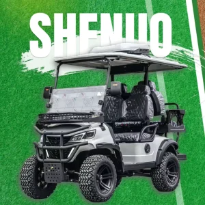Golf Cart G Wagon Lithium Golf Cart and Modern Golf Cart