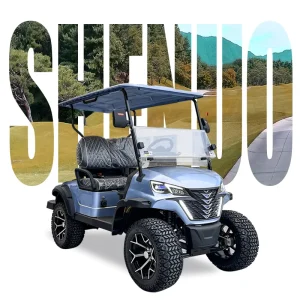 Golf Cart Gasoline 4 Stroke Engine Multi Power Course Vehicles Resorts MobilityOEMSolution Solar Golf Cart High Speed Golf Carts