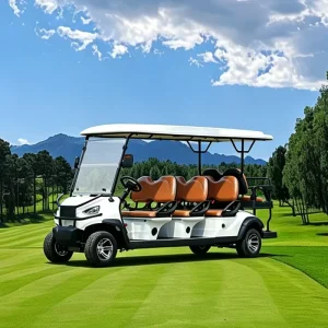 Golf Cart Golf Cart Upgrades Soft Seat & Great Shock Absorption