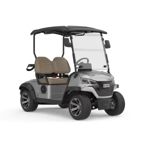Golf Cart Manufacturer OEM Custom Brand Logo Multi Color Low noise Quiet Operation 2 Seater Mini Electric Golf Cart for Sale