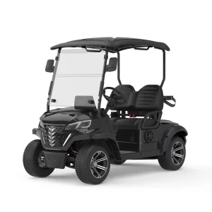 Golf Cart Professional Custom Classic Design High Speed Capability 2 Seater Electric Golf Carts for Resort Golf Course