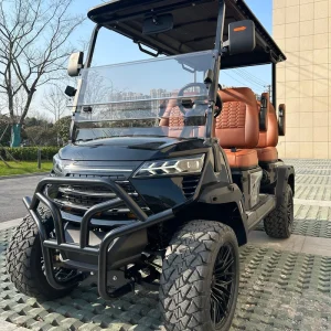 Golf Cart Street Legal Lifted Luxury Golf Cart