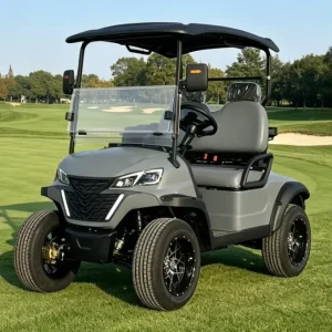 Golf Cart Two Seats 48 Volt Electric with Foldable Windshield and Bag Holder for Golf Course