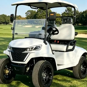 Golf Cart Two Seats 48 Volt Lithium Electric with Foldable Windshield and Bag Holder for Golf Course