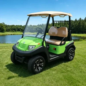 Golf Cart Utility Mobile Electric Golf Cart