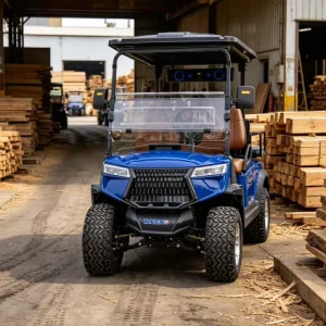 Golf Cart for Leisure Travel High Power Lithium Battery with Long Lasting Battery Life and Sofa Seats