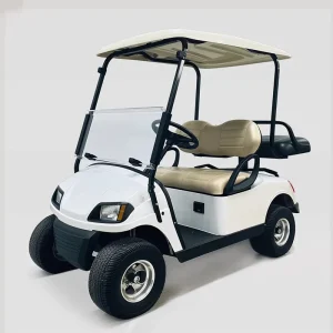 Golf Cart for Sale Philippines One Person Golf Carts