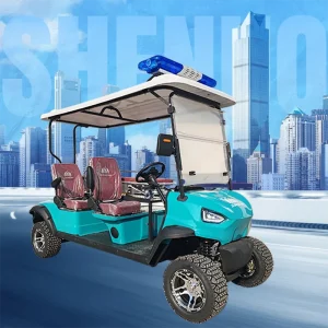 Golf Cart for Tourist Attraction