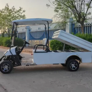 Golf Cart with Cargo Box Gas Utility Vehicle Golf Cart 2 Seater Golf Cart Luxury