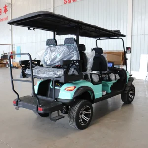 Golf Cart with Weather Resistant Seats
