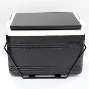Golf Carts Electric EZGO Golf Car Parts and Accessories Cooler Box for Electric Golf Carts Use With Good Price