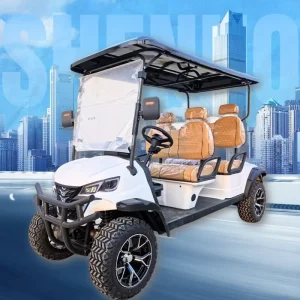 Golf Carts Electric Modern 4 Seater Luxury Low Speed Vehicle for Private Community