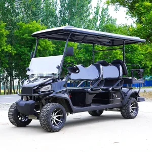 Golf Carts Gas Powered 4+2 Seater Lifted Petrol Golf Cart 6 Passenger Iso Approved
