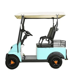 Golf Carts Microcar China Electric Cars Battery Push Golf Cart Electric Golf Trolley