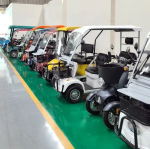 Golf Chariot Utility Vehicle Electric Car Tire Electric Mini Car Golf Trolley
