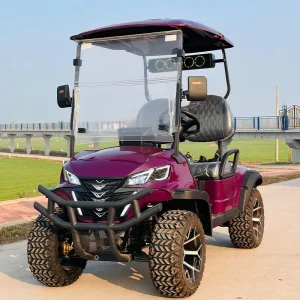 Golf Club 2 4 Seater Chinese Electric Golf Cart Car for Sale 72V Lithium Custom Comfortable 6 Seats Electric Golf Carts