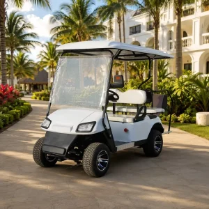 Golf Course Resort Community Gas Golf Cart 2+2 4 Seats 300CC 4 Stroke 80-100km Range Rear Wheel Drive Wide Tires Custom Color