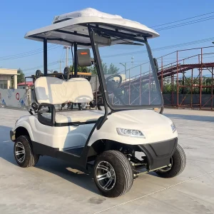 Golf Course Special Electric 2 Seater Golf Cart Tool Cart Equipped with air Conditioning Equipped with 60V Lithium Battery