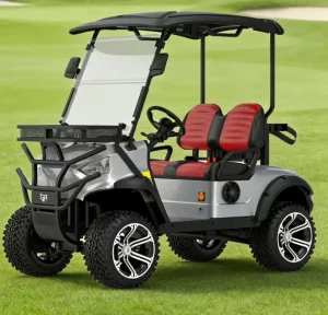 Golf Course Tool Cart Extra High Ground Clearance 2 Seater Electric Golf Cart 48V Club USA Mini Buggy