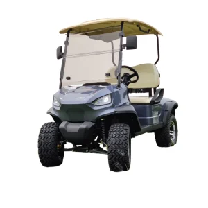 Golf Electric Cart 48V Lithium 2 Seats Mini Car 30Km/h 70-90km Grade 10-15 CE/Dot Certified China F4GH20A Front Disc Brakes