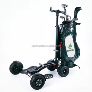 Golf Scooter 2 in 1 Electric Golf Cart Golf Trolley 1600W Rear Motor Quick Release Battery OEM Factory Price