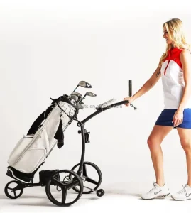 Golf Trolley Electric Scooter Citycoco