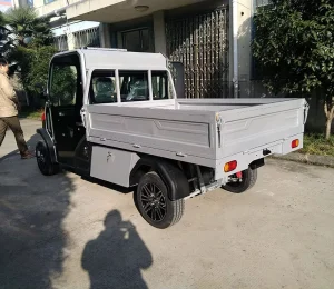 Greenspeend New Design 2 Seater Mini Electric Golf Cart Automatic Transmission 30 50Km h Speed 90km Range for