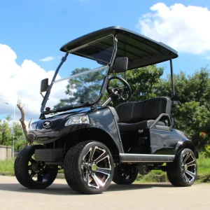 HDK Classic 2 2 Seater Electric Golf Cart Supply