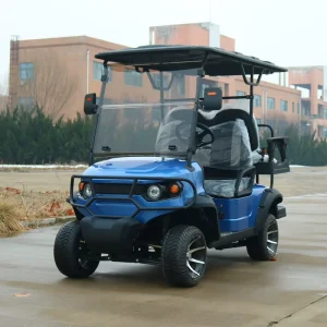 HUNALI Latest Hot Fashion Customizable 4-Seater Electric Golf Buggy Hot New Golf Cart