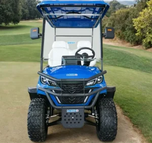 Hand Customized Road Certified 4 Seater Golf Cart Legal for Neighborhood Driving