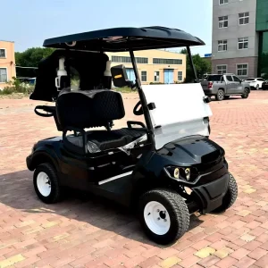 Have Ready Goods Electric Golf Cart Electric Mini Club Electric Tourist Car Utility Golf Cart Price Remote Golf Cart Follow