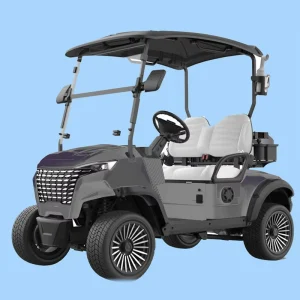 Heavy Duty 2 Seater Golf Cart 400kg Waterproof Outdoor Golf Course Cart for Commercial and Off Road Use