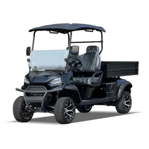 Heavy Duty Deep Cycle Power Buggy Rear Flip Seat Warehouse 2 Seats with Cargo Box for Shipment