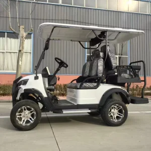 Heavy Duty Golf Cart 4 Seater Club Cart Look Factory Direct
