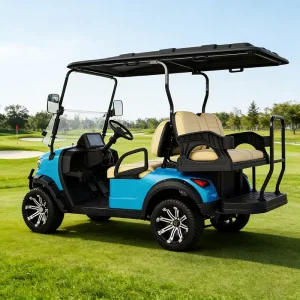 Heavy Duty Golf Cart with 5KW Motor and 20-25 Gradeability for Resort and Community