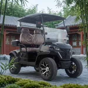 High Cost Performance 4Kw 2 Seats 2 Seater Golf Cart for Golf Course Use Street Customizable Golf Cart