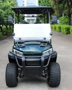 High Durability Powerful Customizable Golf Cart at Factory Price Available for Sale
