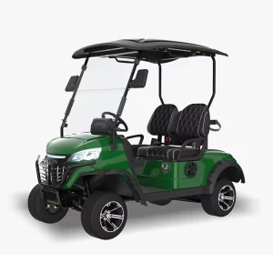 High-End Customized Color 48V Ac Motor Electric Golf Cart 2 Seater Mini Golf Carts Electric