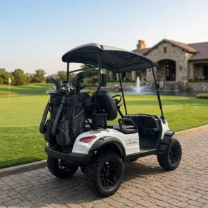 High End Lithium Battery 2 Seater Electric Golf Buggy Luxury Street Legal Utility Golf Cart for Villa Golf Country Club