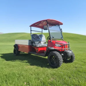 High Performance 72V Lithium Electric Golf Cart 4 Seater Maintenance Free Long Range Golf Car Street Legal LSV 7.5kW AC Motor