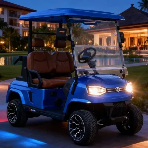 High Performance Electric Golf Cart 2 Seater with Disc Brakes and Smart Controller