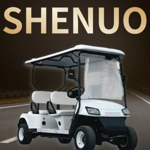 High Performance Electric Golf Cart With Indicators Luxury Golf Buggy for Resort and Hotel
