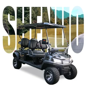 High Performance Gasoline Golf Cart Manufacturer 6Person Petrol Golf Cart