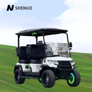High Performance Golf Cart Black Luxury Golf Buggy for Resort and Hotel