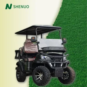 High Performance Golf Cart Gearboxs Luxury Neighborhood Electric Vehicle (NEV) for Personal Leisure